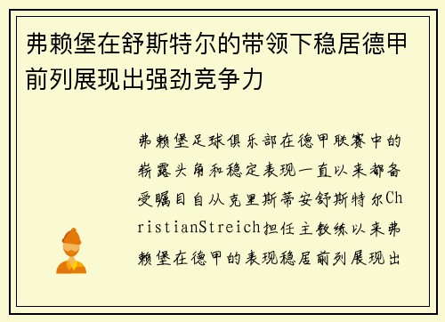 弗赖堡在舒斯特尔的带领下稳居德甲前列展现出强劲竞争力 弗赖堡在舒斯特尔的带领下稳居德甲前列展现出强劲竞争力